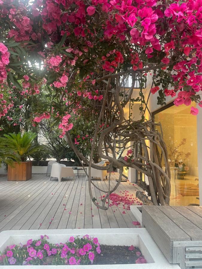 Hotel Le Mistral Porto-Vecchio  Zewnętrze zdjęcie