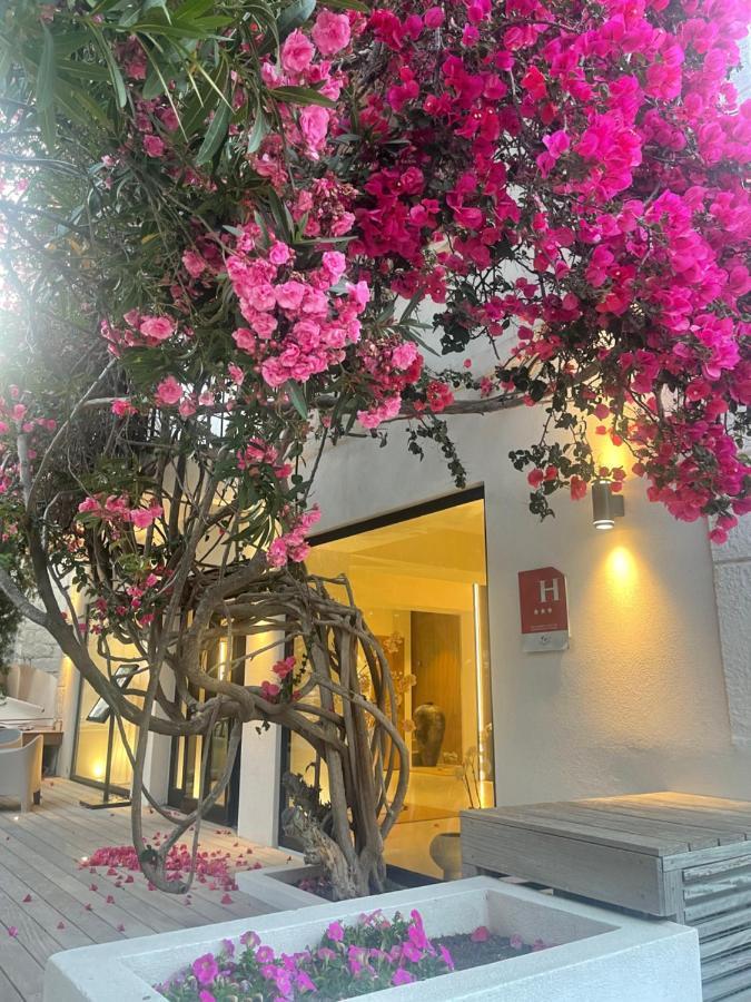 Hotel Le Mistral Porto-Vecchio  Zewnętrze zdjęcie